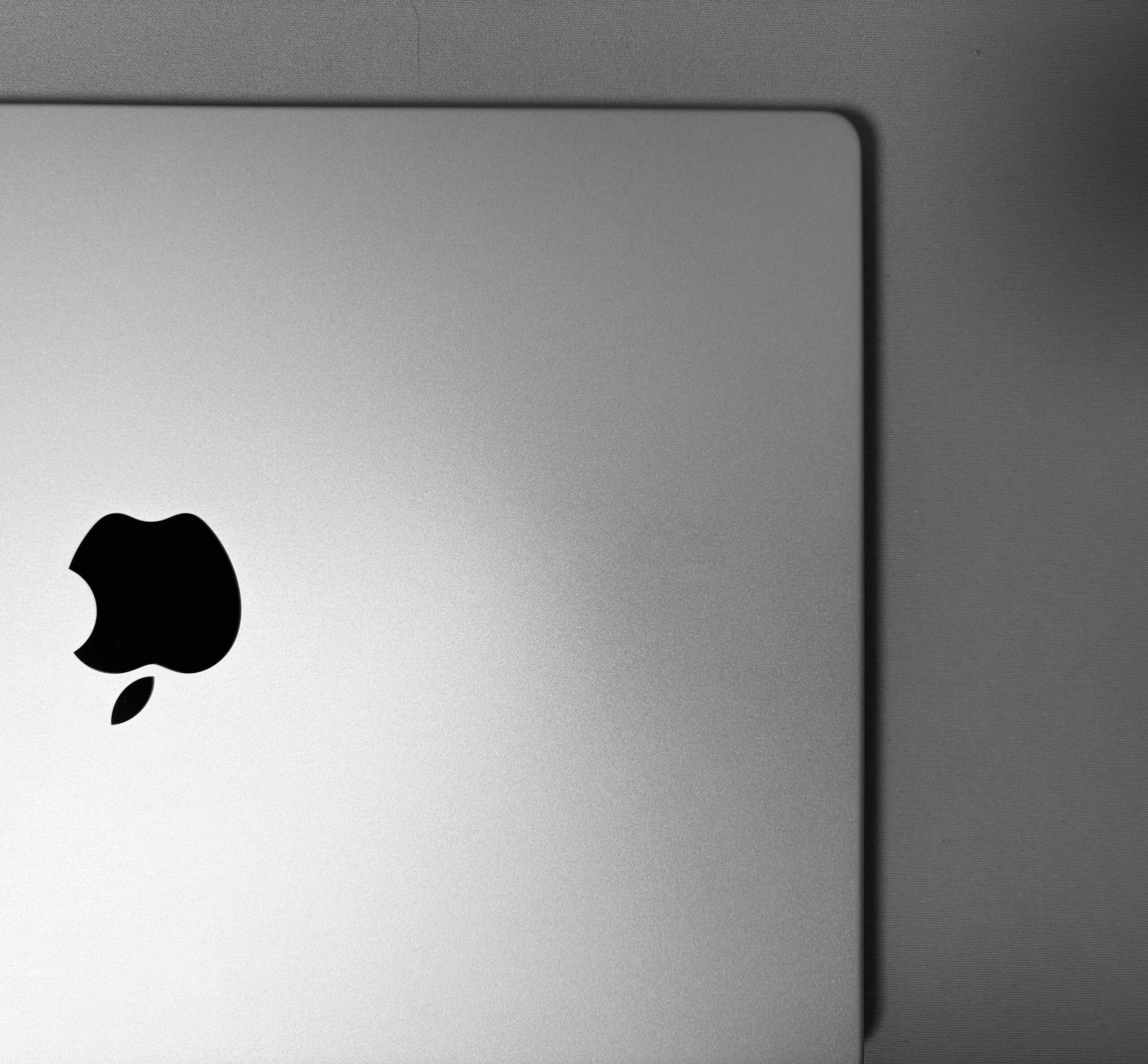 THE SEIKAI 管理人のアバター